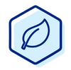 Icon 2