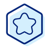 Icon 1